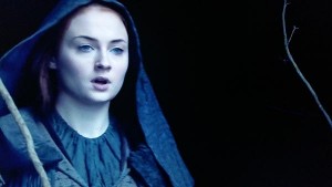 the tortured girl sansa stark