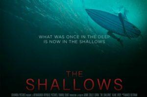 movie poster for the Shallows