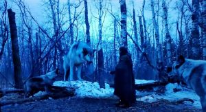 Nymeria and Arya meet in the woods.