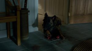 The dog eats parts of Gerald in Gerald's Game