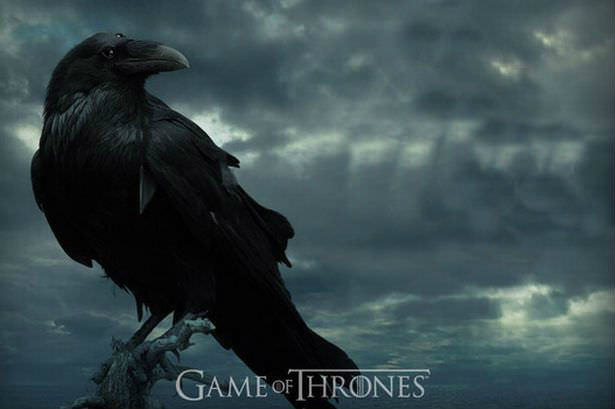 game of thrones featured image of a crow