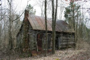 cabin in the woods