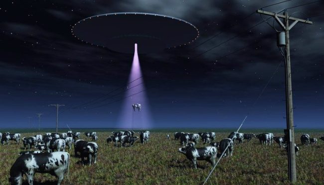 cow being beamed aboard a space ship