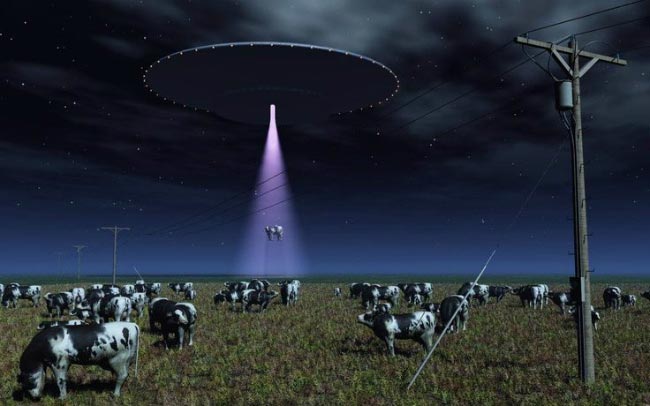 cow being beamed aboard a space ship