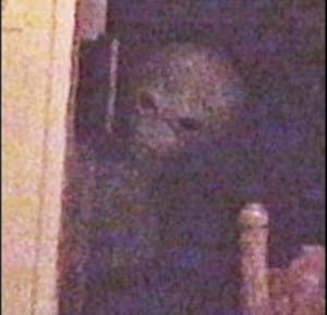An alien peers through a window.