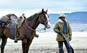 Tom Horn Steve McQueen's last Western