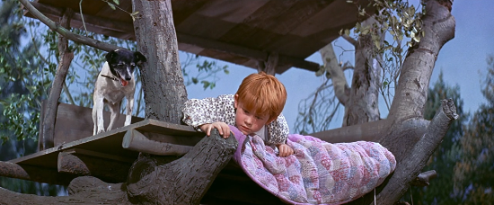 Ron, Ronny, Howard listens from a tree stand in The Music Man.