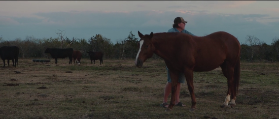 A framer brushes down his horse in Rowdy Girl.